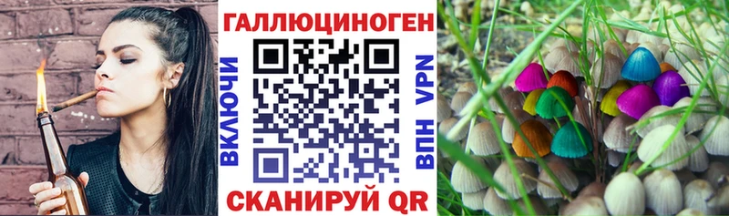 Галлюциногенные грибы Cubensis  Чердынь 